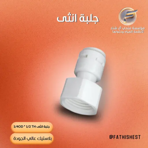 جلبة انثى